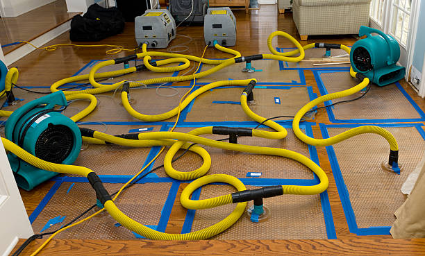 Professional Water Damage Repair technician working in Forest Junction, WI